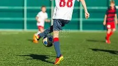 广东体育新篇章：冠军故事汇见证辉煌时刻