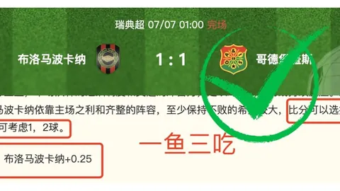 推荐 足球攻略周日206瑞典超：瓦斯特拉代格福什赛况解读